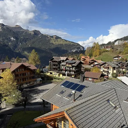 Schweizerhof 4 شقة ون قن