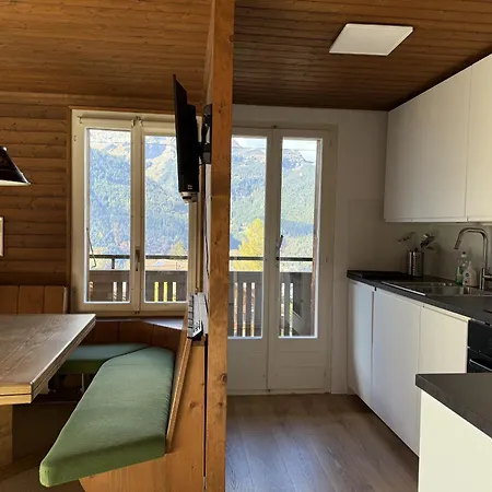 Schweizerhof 4 דירה