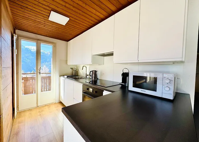 Schweizerhof 4 Apartment Wengen