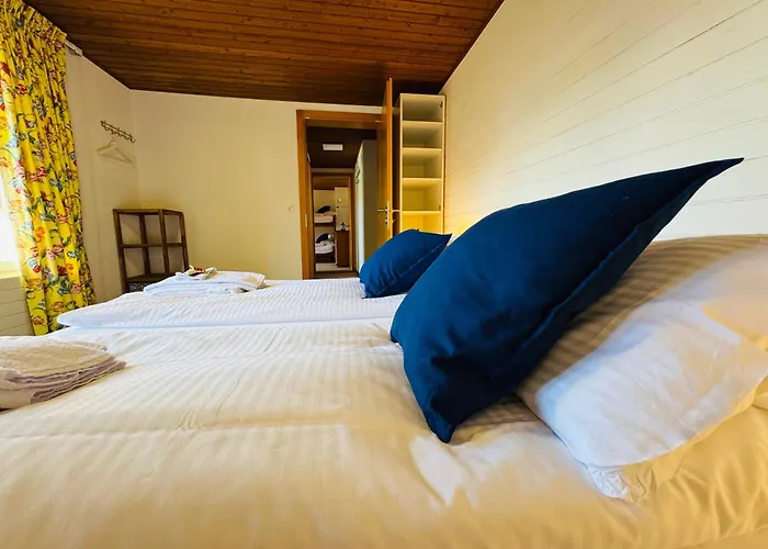 Schweizerhof 4 Wengen